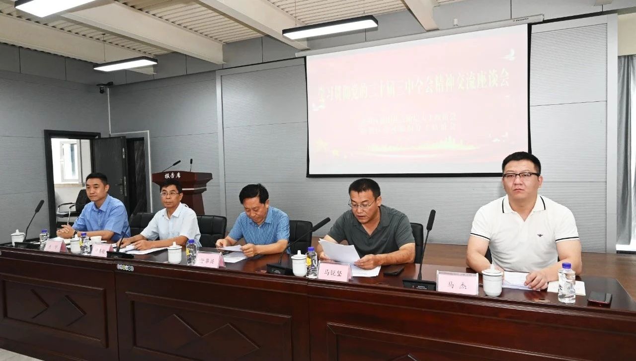 学习贯彻党的二十届三中全会精神座谈会在成功集团召开